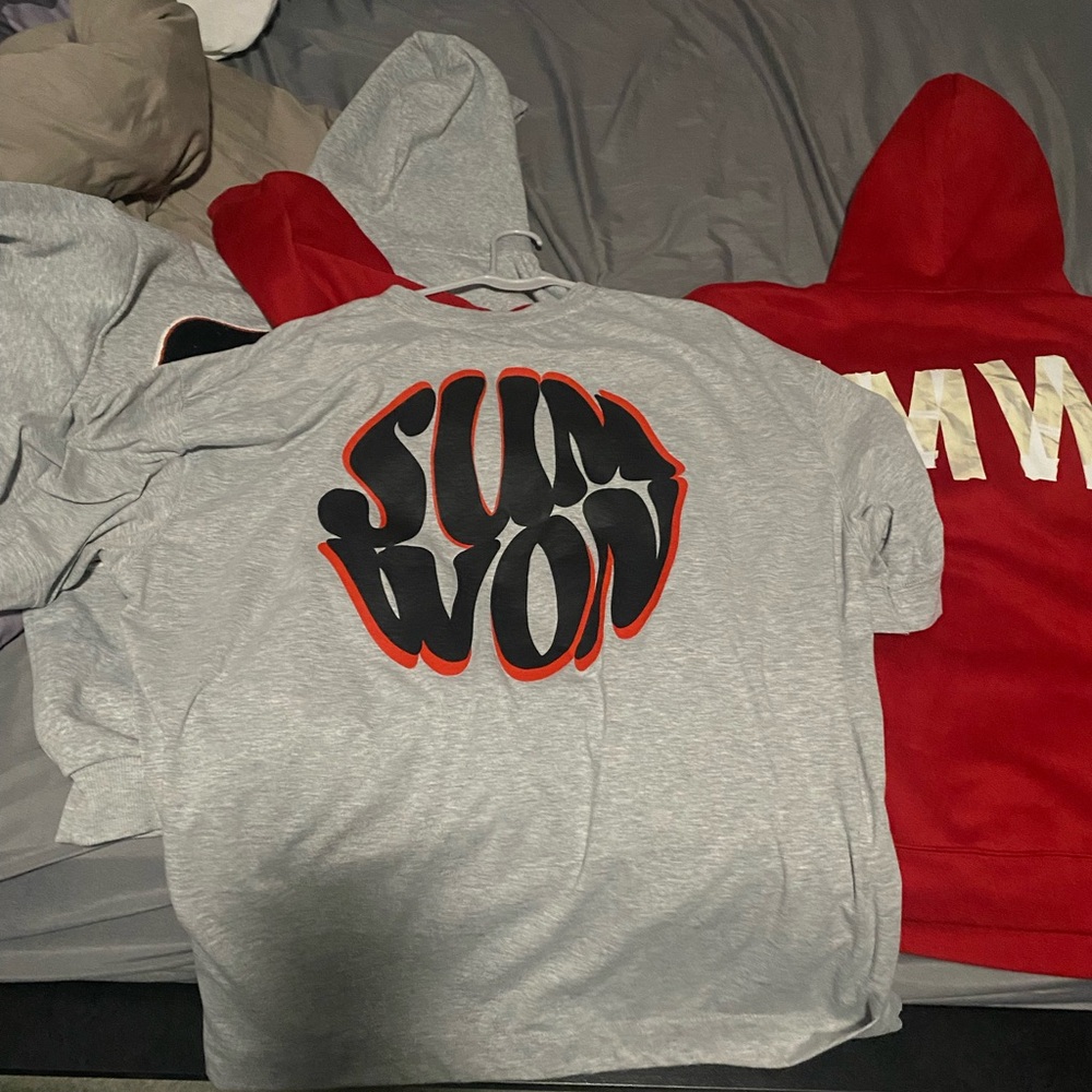 2 hoodies and a shirt all sumwon brand they are all worn about 4 times